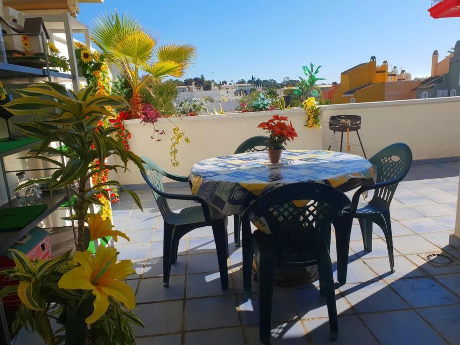 Alquiler En Nueva Andalucia Puerto Banus 